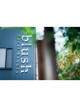 Total Beauty blush【トータルビューティ　ブラッシュ】