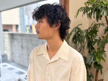 メリア(melia)の写真