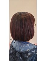 ロサ ロセット&nbsp;春カラー