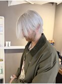 ホワイトカラーホワイトアッシュホワイトブリーチホワイトヘア