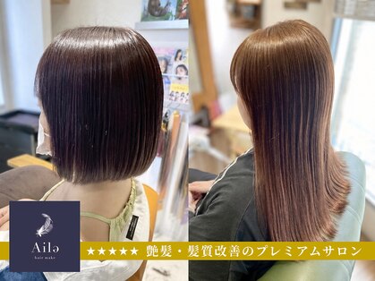 エール(Aile)の写真