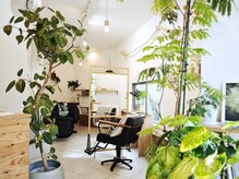 イエス キュウニサン(YES 923)