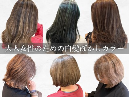 エーアイ 駒込店(Ai)の写真