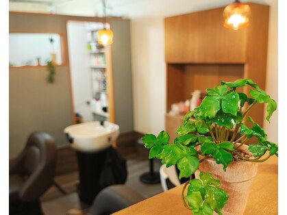 フェリールヘア(Felire hair)の写真