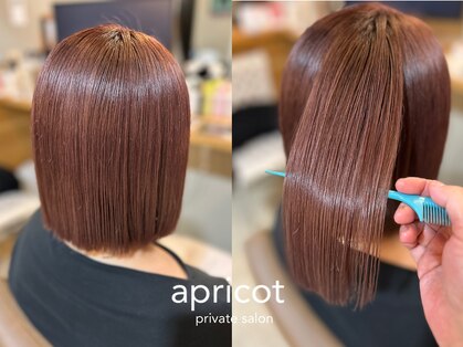 アプリコット(apricot)の写真