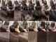 エンネ 新宿(enne)の写真