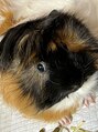 マカロ バイアクロス(MaCaro. by across)/個室型ヘアサロン MaCaro.  