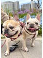 コハク(COHAKU) 可愛い看板犬リックとアメリ