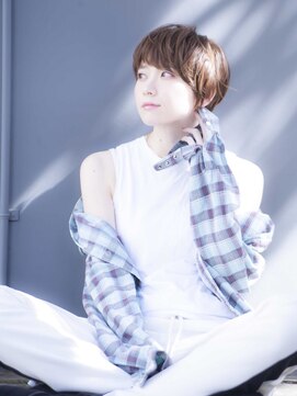 テイラー(Taylor) [Taylor]  ☆オーシャンブラウンxラフショート