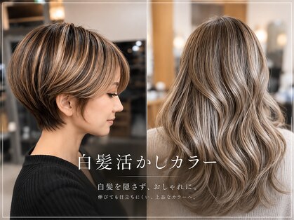 アルグラーテ (Arglarte)の写真