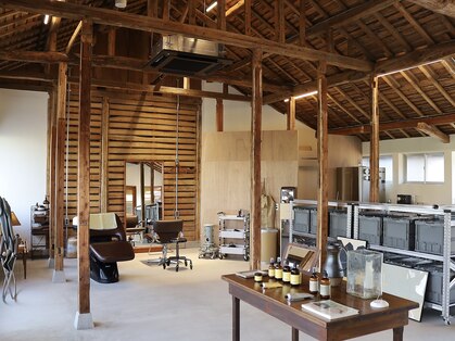 クレーオピー(klee opie.)の写真