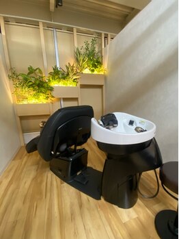 デビュウ(D-bew)の写真/【太宰府/水城】完全個室のシャンプーブースで受ける極上ヘッドスパ*自分だけの贅沢空間で、深い癒しを。