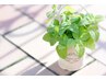 【夏季限定coolメニュー♪】ミントスパ+カット/7150→6500/