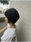 shorthair