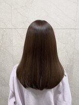 ダリア(Dahlia) ラベンダーカシス