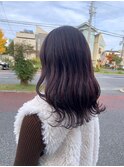 ラベンダーカラー