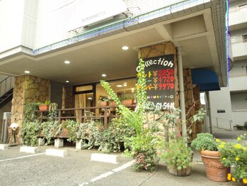 美容室コレクション東口店