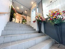 シュシュ(Chou-chou)