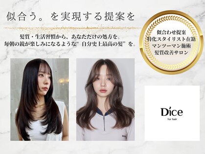 ダイス(Dice)の写真