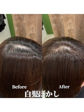 プレゴ 清澄白河平野店(Prego) 白髪ぼかしBefore&After