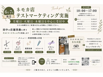 ネモカの写真