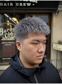 ハイトーンシルバースパイキー