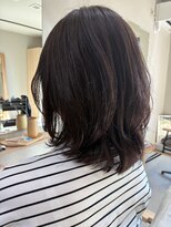 本と南風 guest design
