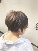 shorthair