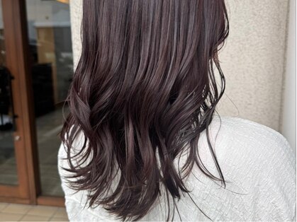 イニシオ(inicio)の写真