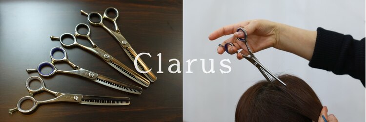 クラルス(Clarus)のサロンヘッダー