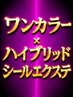 ハイブリッドシールエクステ60枚×ワンカラー￥18,200～