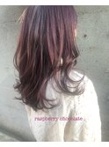 ラズベリーチョコレート*いけもとみお
