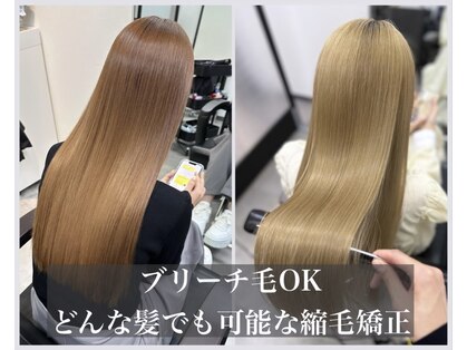 シンカ(shinka)の写真