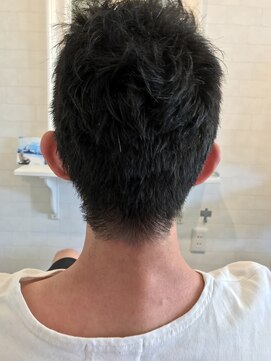 ヒッピーヘアー(Hippie Hair) メンズベリーショート