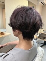 本と南風 guest design