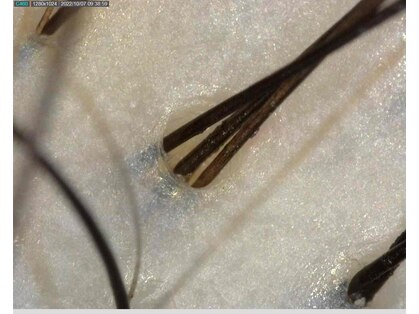 美容室ヴォイスの写真