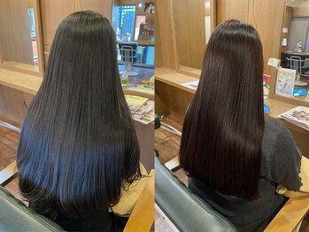 トータルビューティー テント10