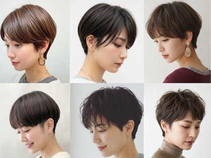 アーク(Ark)の写真