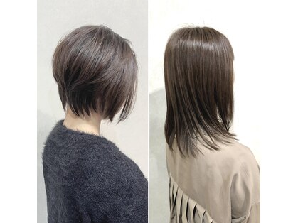 ヘアードゥ レディバグ(HAIR DO LADY BUG)の写真