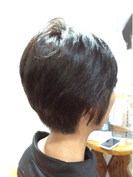 ドルセット ショート