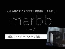 ダイアモンドリリー(Diamond Lily)の雰囲気（全ての施術に高濃度炭酸線をサービス　一宮/ブリーチ/髪質改善）
