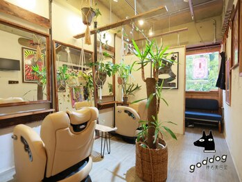 カフェ併設サロン 神名美容室/goddog