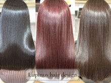 ルピナス(Lupinus)