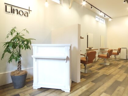 リノアプラス(Linoa+)の写真