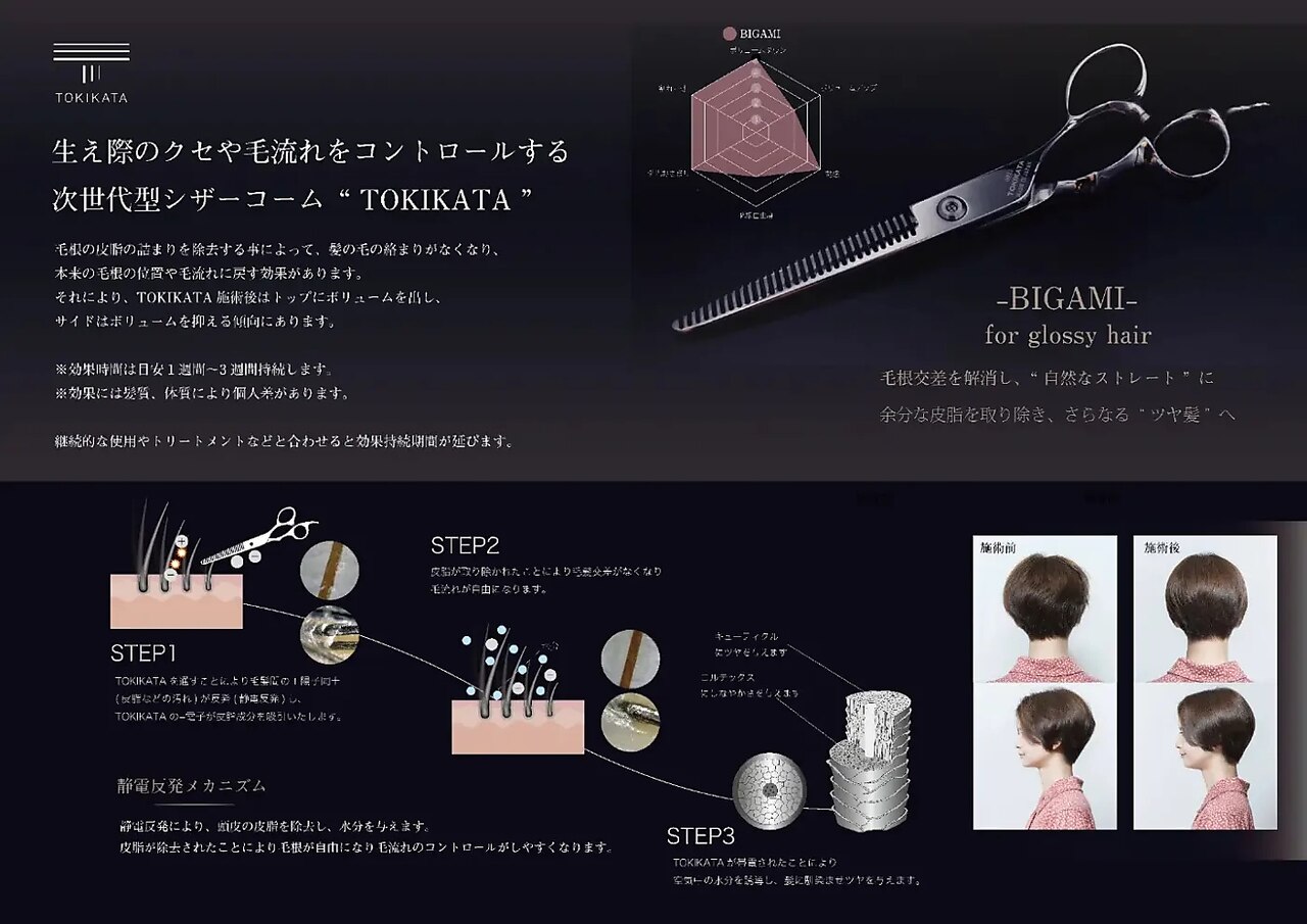 tokikata sugami 最終値下 tokikata sugami 最終値下