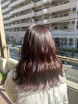 テイスティテラス(tasty terrace) レッドブラウン