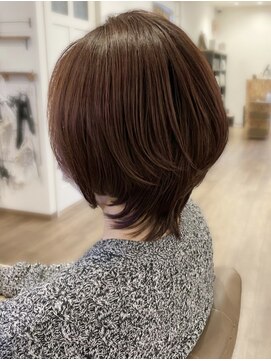 アルテアポロ(Arte Apollo) ナチュラルミディアムウルフ