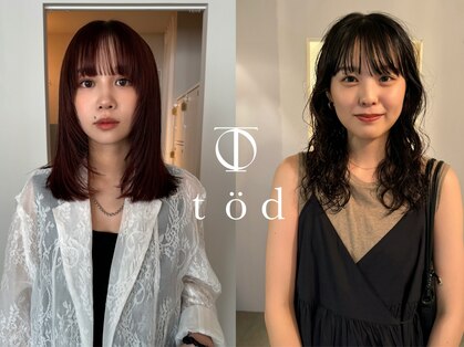 トッド(tod)の写真