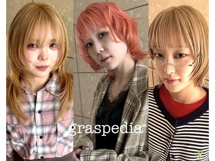 グラスペディア(graspedia)の写真