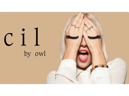 オウル(owl)の写真